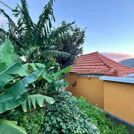 Casa Do Perestrelo -