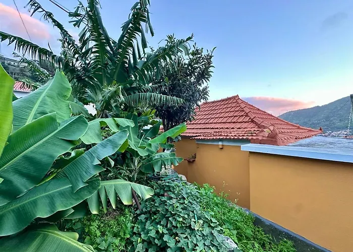 Casa Do Perestrelo -